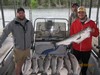 (05/23/2017) - Nice Striped Bass
